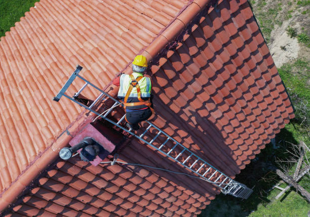 Best Roof Repair  in Hayward, CA